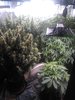 IMG_20220920_125001.jpg
