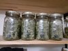 Grow Season Wrap Up