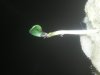 20131010_122516.jpg