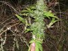 100_3400.jpg