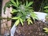 100_3409.jpg