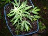 100_3422.jpg
