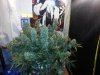 20131011_194629.jpg