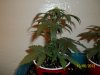 day 28 pic 2.jpg