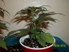 day 28 pic 3.jpg