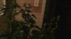 Snapshot_20131013_9.jpg