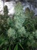 20131013_210915.jpg