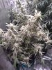 20220924_011518.jpg