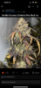 0B0F2B16-28FA-4866-909A-B86AFEE2D78A.png