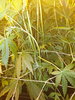 20221019_221321.jpg