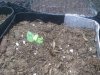 IMG_20131014_194044.jpg