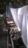 IMAG0506.jpg