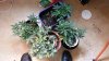 20131016_143719.jpg 20131016_143719.jpg