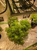 20221026_062455.jpg