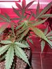 Week 6 update