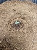 20221031_212100.jpg