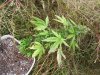 100_3511.jpg