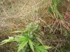 100_3512.jpg