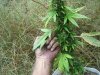 100_3513.jpg