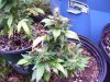 100_3521.jpg