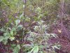 100_3527.jpg