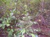 100_3528.jpg