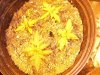 100_3536.jpg