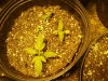 100_3538.jpg