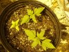 100_3542.jpg