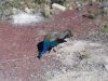 100_4828.jpg