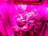 DSCN3434.jpg