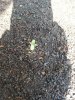 20131020095156048.jpg