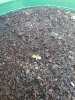 20131020095218059.jpg
