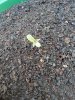 20131020095301868.jpg