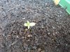20131020095349519.jpg