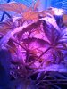 IMG_20131020_155726.jpg