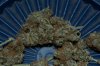 DSC_0082_NEF_shotwell.jpg