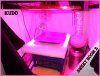 DSCF1878.jpg DSCF1878.jpg