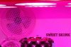 DSCF1881.jpg DSCF1881.jpg