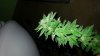 20131022_145207.jpg 20131022_145207.jpg