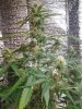 IMG_20131021_231439.jpg