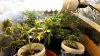 20131023_143725.jpg