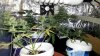 20131023_143834.jpg