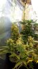 20131023_144339.jpg