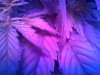IMG_20131023_110955.jpg
