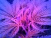 IMG_20131023_110926.jpg