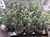 11.21.22_week7-after.jpg