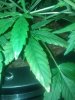 IMG_20131024_115025.jpg