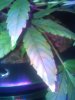 IMG_20131024_115046.jpg