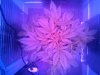 IMG_20131024_114940.jpg